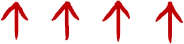Official Black Horse Men's Performance Formula